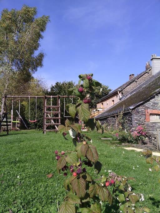 Gite Les 7 Frenes Vaux-sur-Sure Esterno foto